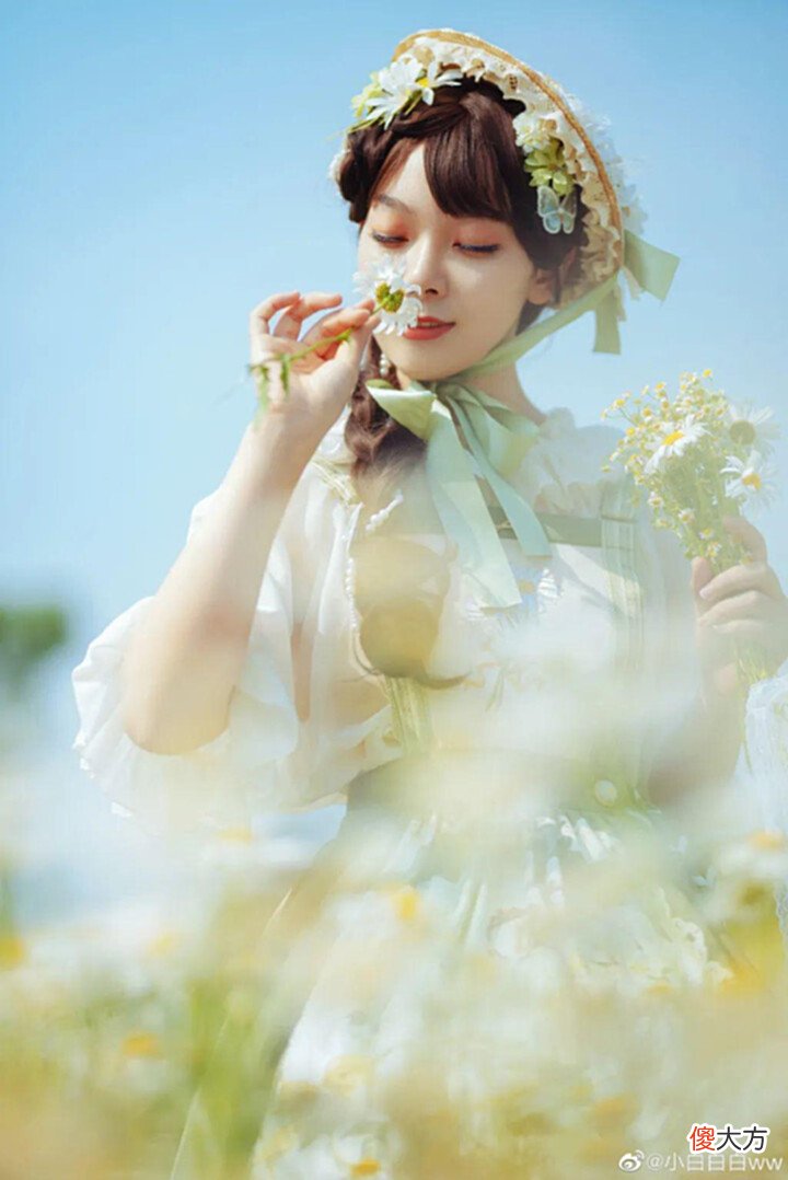 【游戏迷】Lolita:雏菊的花语是天真、和平、希望、纯洁的美