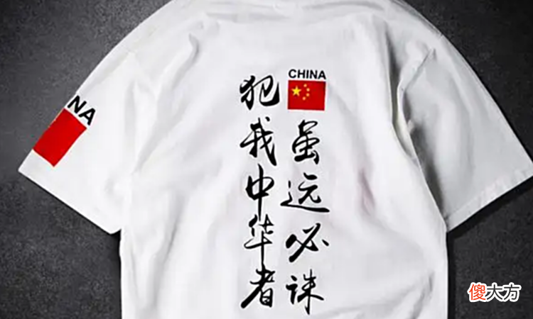 【历史故事】犯我中华者虽远必诛是谁说的话