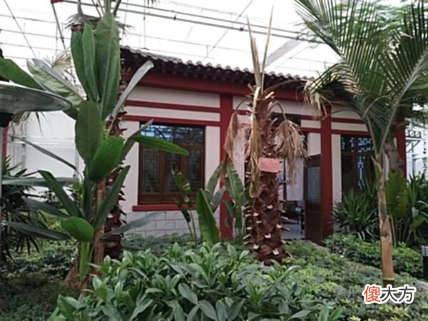 【爱历史】宁夏黄河传奇2：因黄河而兴，中宁的前世今生，名字从何而来？