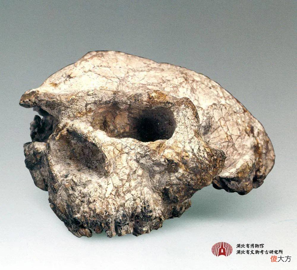 【爱历史】湖北省博物馆十大镇馆之宝：曾侯乙编钟精美壮观