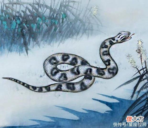【十二星座】六月甜比苦多，4生肖来财不难，赚钱容易，生活富足