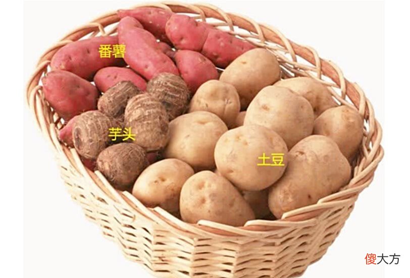 【爱历史】明清时期，民间发生了一场罕见的天灾，间接导致一个朝代的覆灭