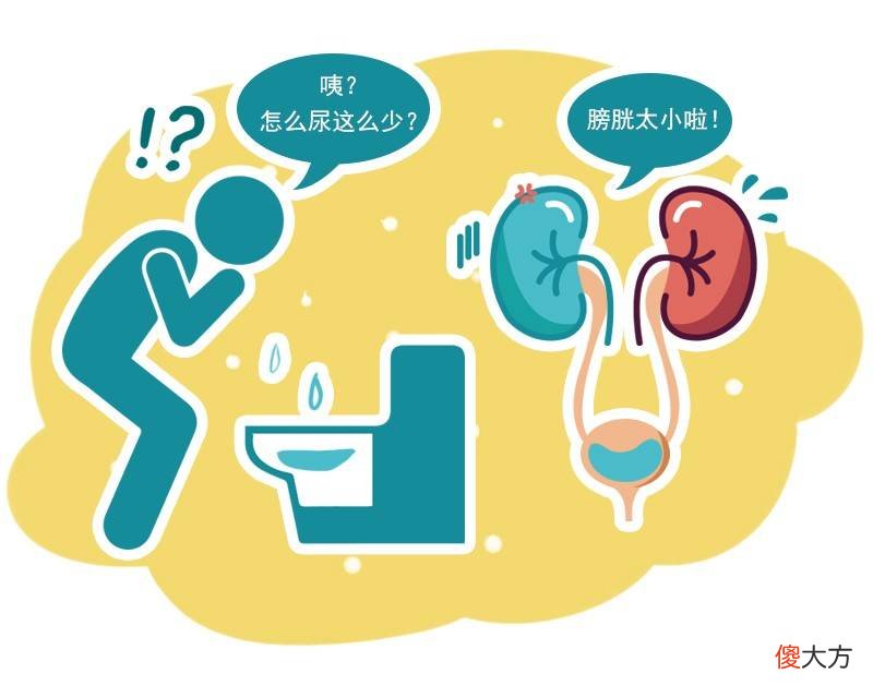 憋尿可能会引发不孕不育？看完这篇文章，打赌你以后再也不敢憋尿