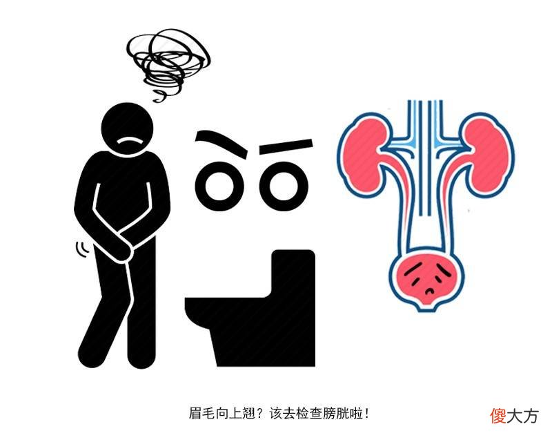 憋尿可能会引发不孕不育？看完这篇文章，打赌你以后再也不敢憋尿
