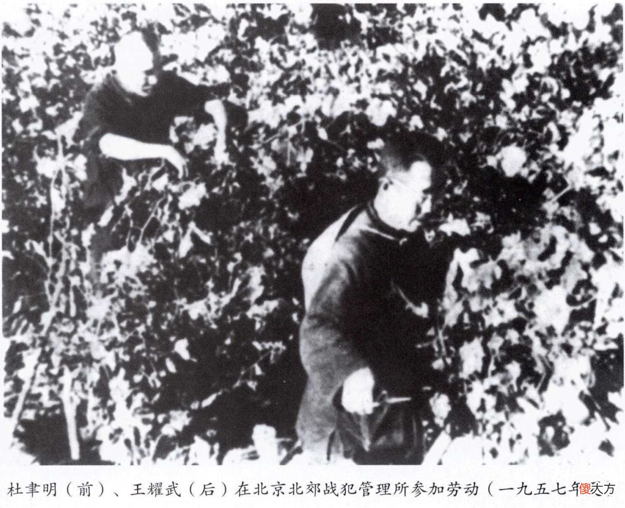 【爱历史】杜聿明被俘，明明活着，却被蒋氏列入“烈士名单”，用意何在？