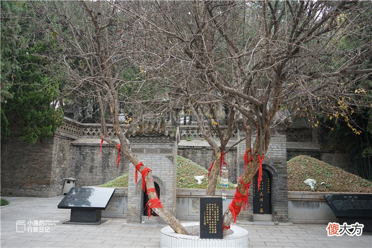 【历史故事】六一快乐！这里才是西安亲子游必去之地，感恩、感慨、感动！