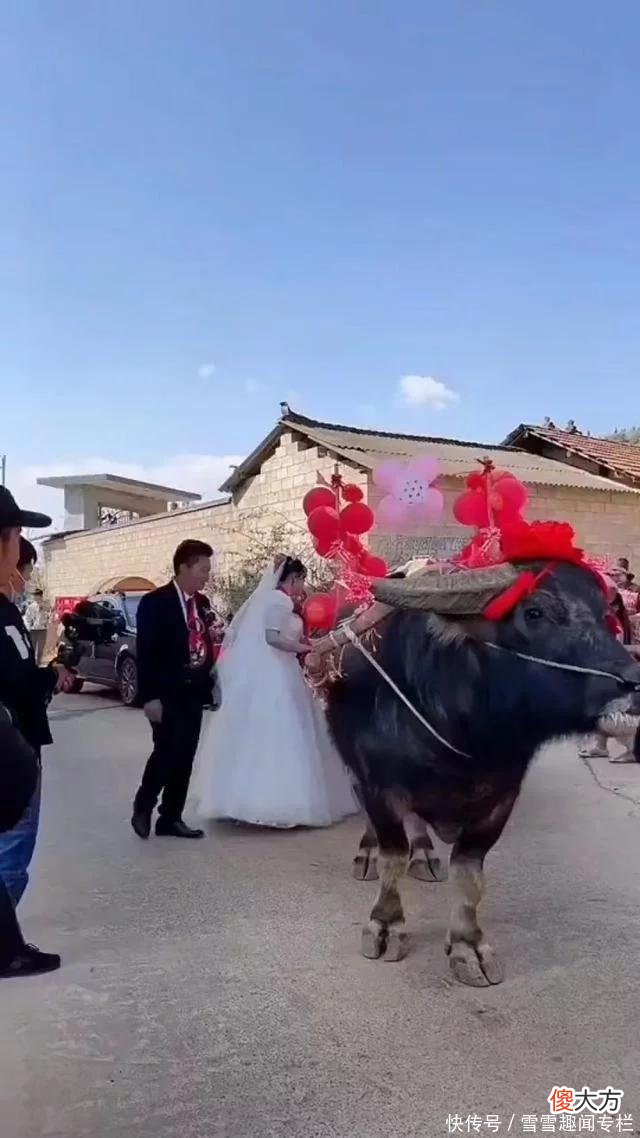 【就爱时尚】新郎牵牛迎娶娇妻，全程笑得合不拢嘴，村里没娶老婆的都羡慕了