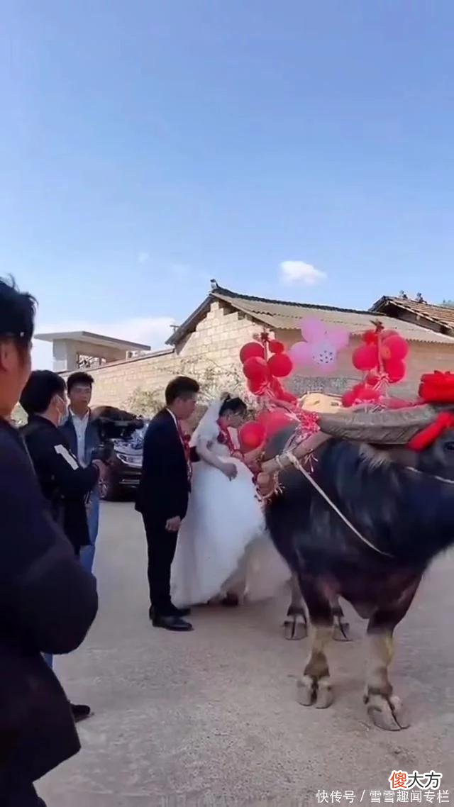 【就爱时尚】新郎牵牛迎娶娇妻，全程笑得合不拢嘴，村里没娶老婆的都羡慕了