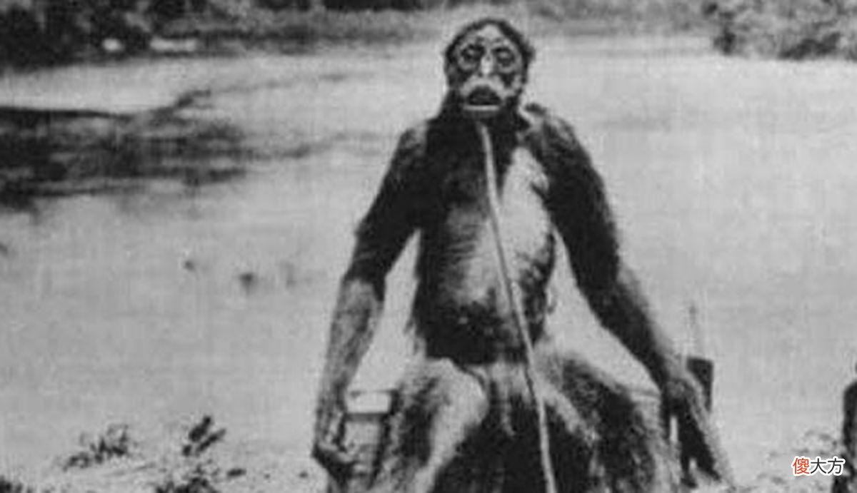 【爱历史】神农架野人频频出没：近千人声称见到野人，中国三次考察揭开真相