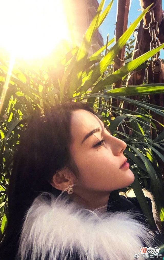 【就爱时尚】娱乐圈最美的鼻子，你认为谁的最好看？