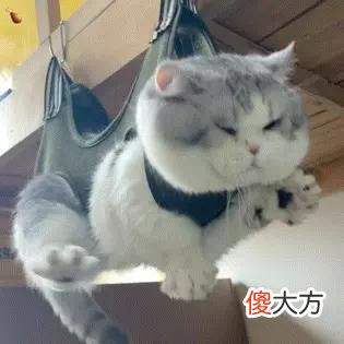 【就爱时尚】为什么总被割韭菜？为什么用了那么多皮肤还是差？