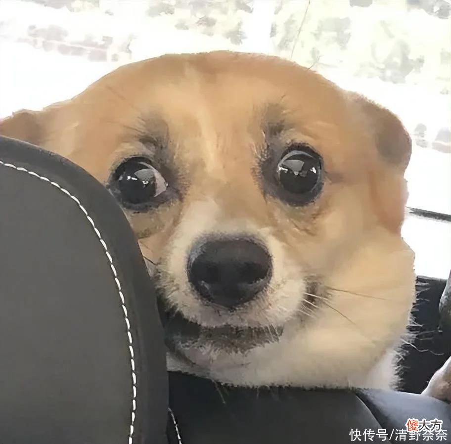 【就爱时尚】为什么总被割韭菜？为什么用了那么多皮肤还是差？
