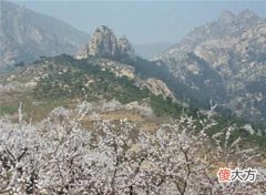 【历史故事】萧太后墓被盗墓贼洗劫一空,身上价值34亿的寿衣,为何没人敢拿?
