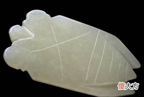 【爱历史】女子带“玉蝉”鉴宝，专家：真是不知者无畏！这是死人口中的东西
