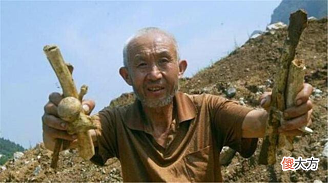 【历史故事】湖北高速路施工现场,有3000具遗骸,一段残酷历史就此揭开