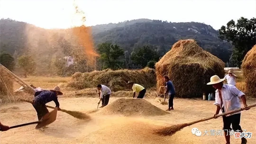 钻洞吃蛇掏鸟蛋，暴力动画看个遍，八零后的绝版童年你羡慕了吗？