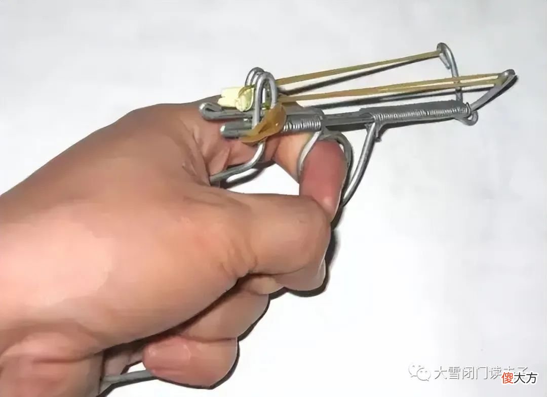 钻洞吃蛇掏鸟蛋，暴力动画看个遍，八零后的绝版童年你羡慕了吗？