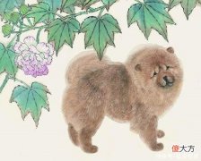 【星座控】属啥生肖的人，六月比五月顺利，钱包更加饱满，满面春风
