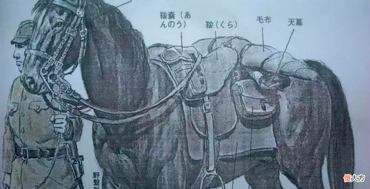 【爱历史】真实的鬼子是什么样？有强迫症的军迷，看了抗日剧就要“找茬”