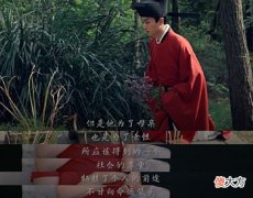 【爱历史】梦华录顾千帆身世，名为顾侍郎之孙，实为萧丞相之子