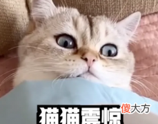 【游戏迷】逆水寒手游宣称不氪金？元宇宙打广告一年赚1.4亿，好饼我吃！