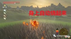 【游戏世界】所有敌人都变成女武神？《艾尔登法环》玩家自制随机模组