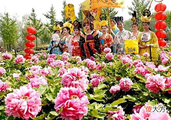 【历史故事】唯有牡丹真国色，龙池牡丹带您了解牡丹与唐朝美人的故事