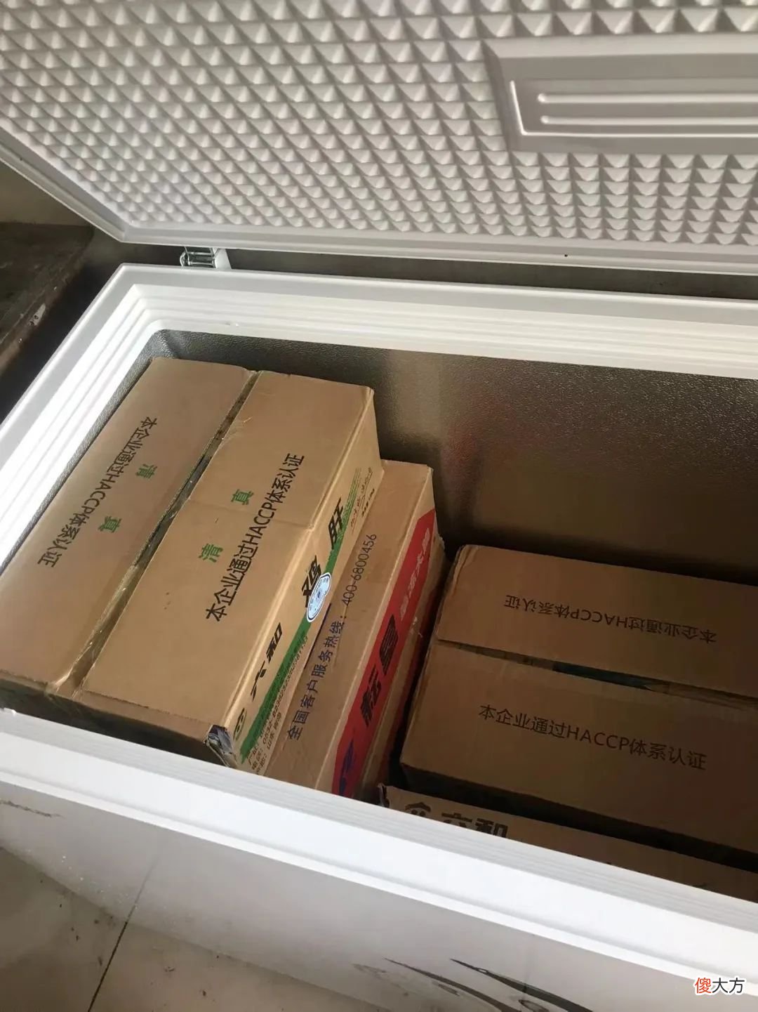 『周记』夏季撸狗洗刷刷