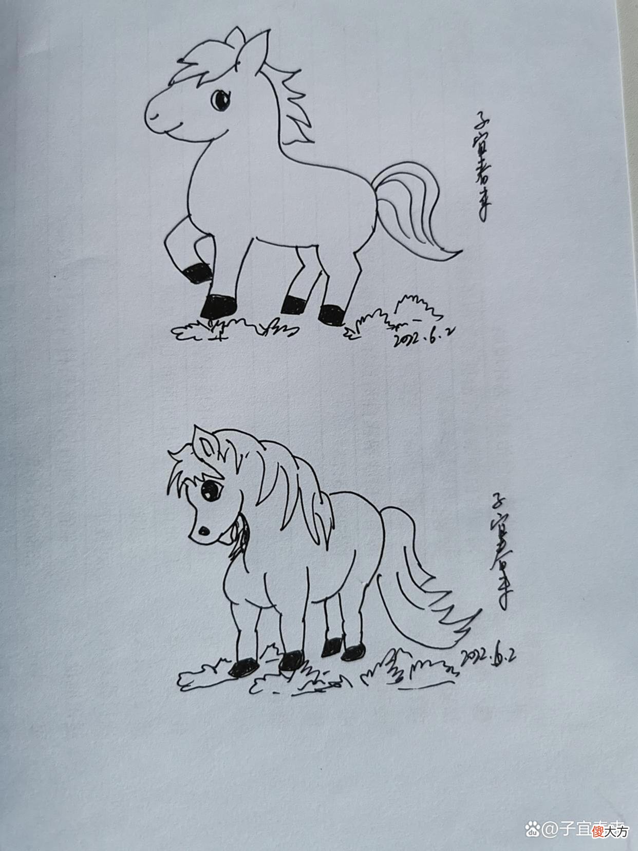 【爱历史】一马当先，龙马精神，马到成功，城市人们对马的情怀还留存多少