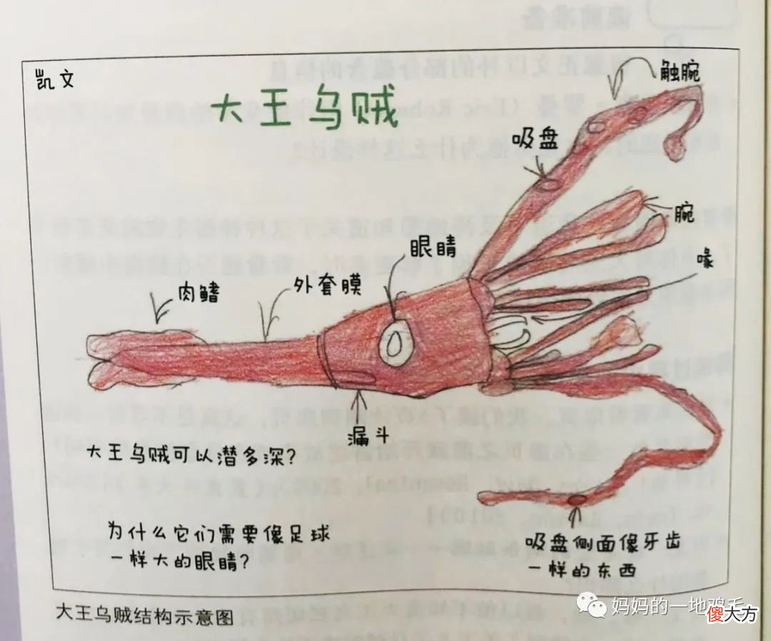绘本阅读，这几种方式会扼杀孩子阅读热情！