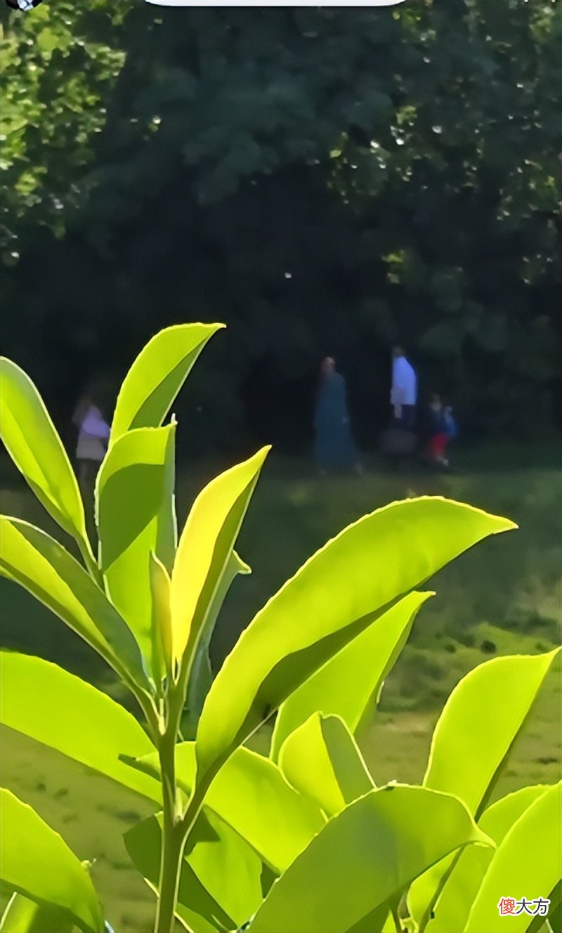 梅根哈里带孩子回王室了！剑桥三宝突然出现，王子公主各有特色
