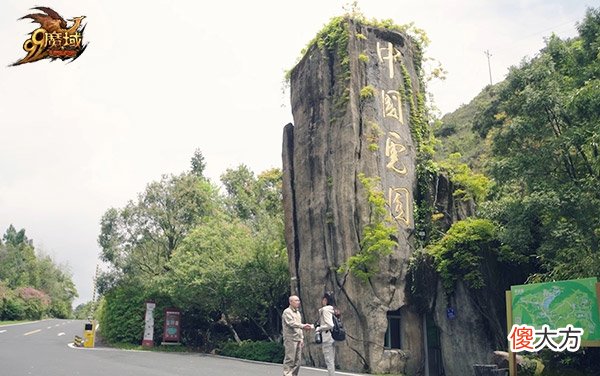 【游戏迷】“沉浸式”养一只华南虎？《魔域》带玩家做了场特别的公益