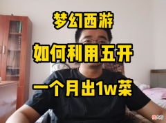 【游戏迷】梦幻西游：如何利用五开，一个月出1w菜？