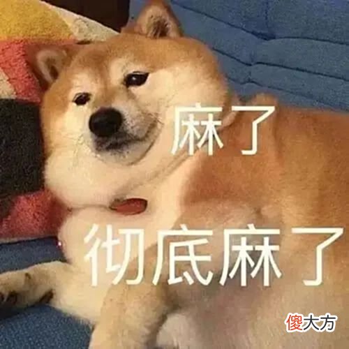【游戏迷】英雄牌也能被BUFF？生物荧光“暗中加强”？更新再出离谱BUG！