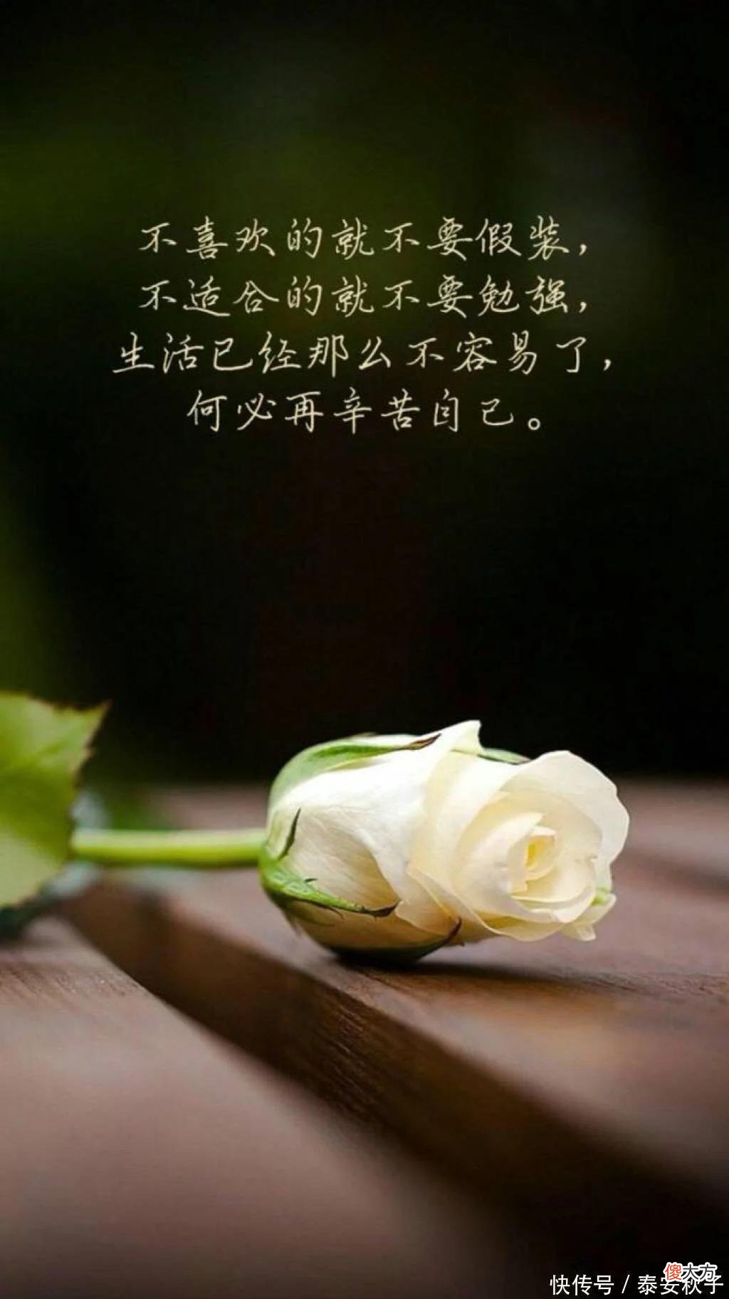 【时尚一点】入夏之后，火了一种穿搭叫：“普通款+单鞋”：50岁+女人穿上真的好美啊