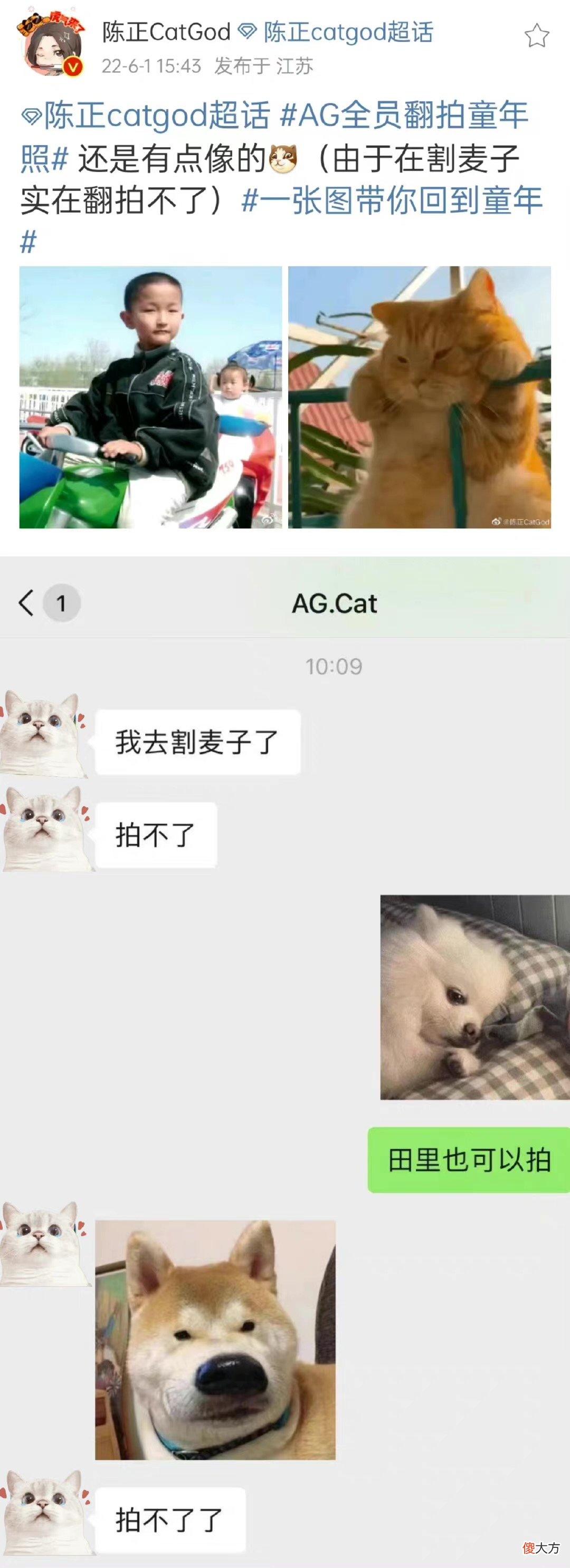 【游戏世界】AG超玩会队员晒童年照！一诺“放大式”成长，猫神在家割麦子