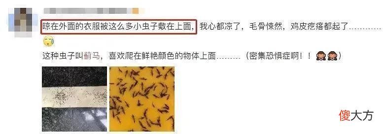 【时尚一点】提醒！最近少穿这种颜色的衣服出门