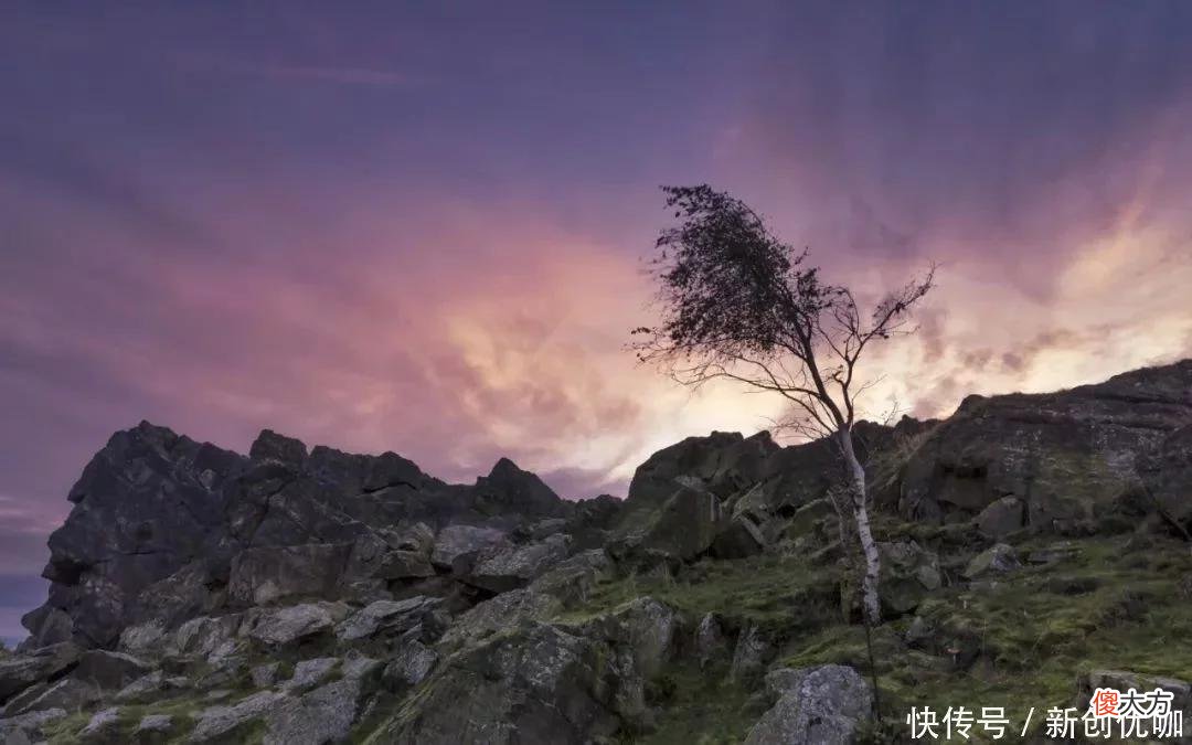 【十二星座】6-9月，时来运转，爱情苦尽甘来，分分合合，再次牵手前任的生肖