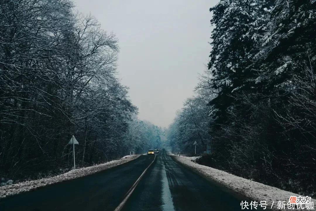 【十二星座】6月，红鸾星动，桃花运上涨，爱情突如其来，恩爱有加的三个生肖