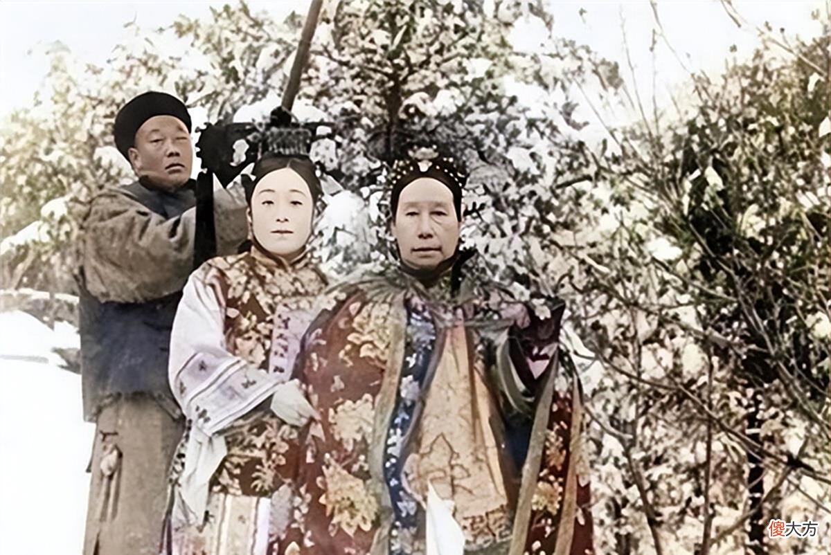 【爱历史】大清错过了一位力挽狂澜的皇帝，导致了悲惨的结局