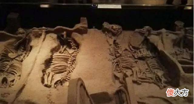 【爱历史】古代帝王用活人殉葬，活人在墓中能生存多久？有些出乎意料