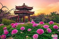 【爱历史】河南洛阳因何在历史上能被数十个王朝选为都城？
