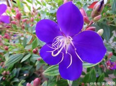 【十二星座】生肖猴从哪年开始得以翻身？赚钱顺利，家庭也兵强马壮