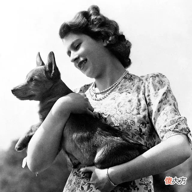 【历史故事】在70年未出错的英女王面前，王室时尚大聚会都是小儿科