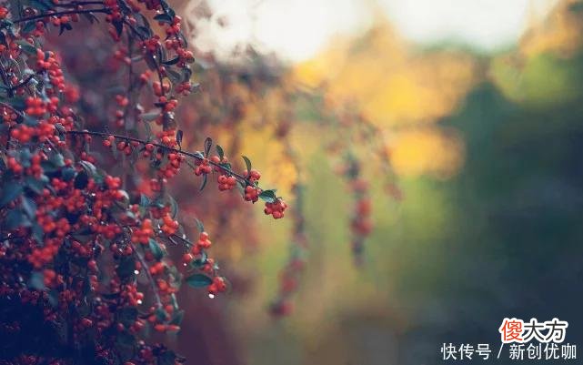 【星座控】6月，如虎添翼，贵人运上涨，事业开展顺遂，财高福满的三个生肖