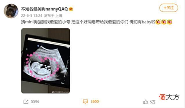 【游戏世界】UZI女友奥咪咪官宣怀孕，小乌兹要来了，这波是赛场失意生活得意