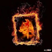 【历史故事】辣椒在明朝末年传入中国，之前中国人想吃辣味怎么办？