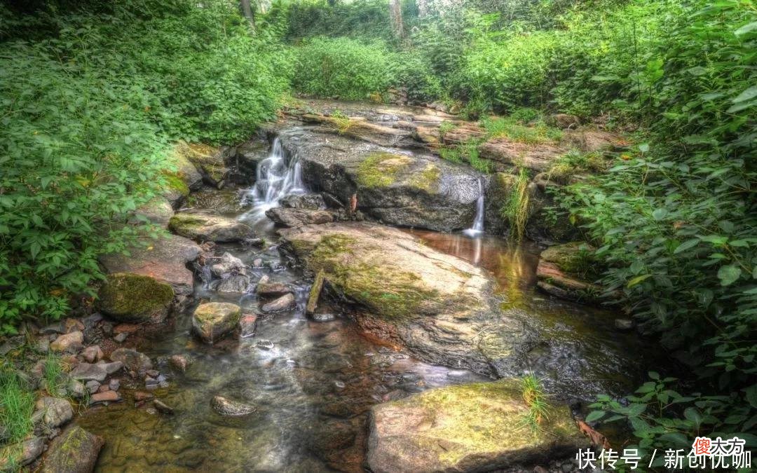 【星座控】看似不近人情，逍遥任性的生肖，实则是怕麻烦，知世俗，而不世俗