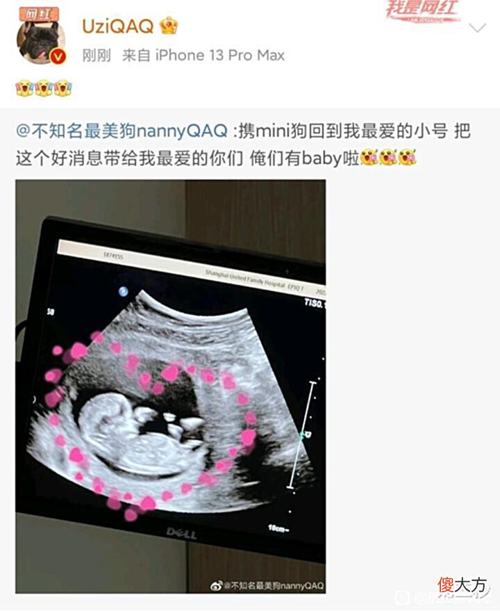 【游戏迷】Uzi女朋友怀孕,粉丝称之为:神子降临,分析夏季赛转会消息总汇