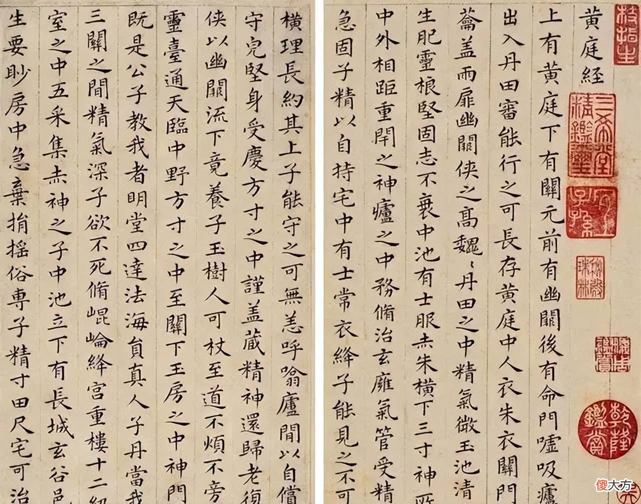 【历史故事】祝允明草书奔放，楷书竟如此俊秀！